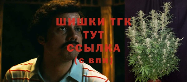 прущие крисы Алзамай