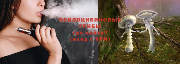 прущие крисы Алзамай